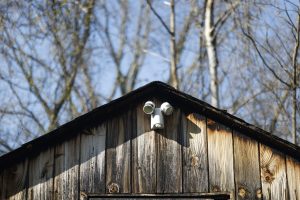 shed security